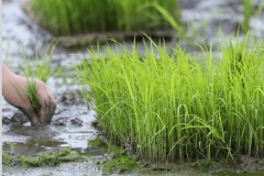 WhatsApp-Image-2026-01-28-at-10.50.01-PM